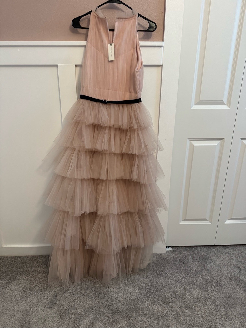 Anthropologie Layered Tulle Gown in Blush Pink with Black Belt